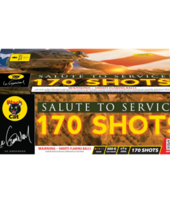 Salute to Service